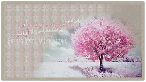 -2t187779.jpg