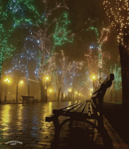 -8cqk3-5udi_521121296.gif
