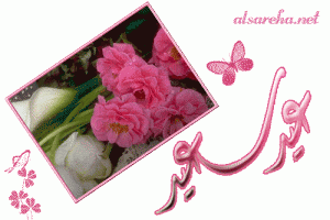-eid1.gif