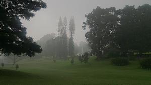 -img_20140906_190531.jpg