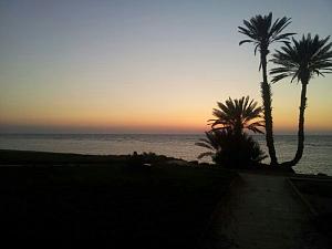 -img_20140920_000219_552586657.jpg