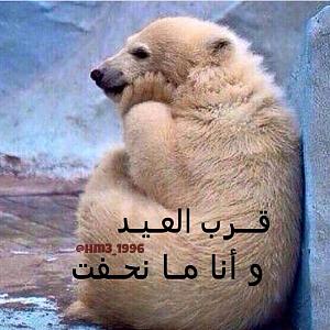 -img-20150703-wa0004.jpg