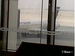 -img00011-20100411-0633.jpg