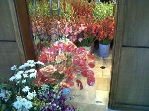 -img00572-20101010-1730.jpg