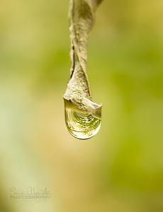 -img_7636.jpg