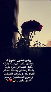 -img_7531.jpg