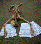 :	.gif
: 113
:	10.1 