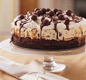 -making_ice_cream_cakes.jpg-238484405.jpeg