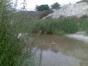 -20110522.jpg