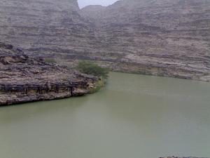 -20100807238.jpg