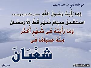 -f0f772a4bc.jpg