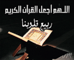 -%D5%E6%D1%C9.gif