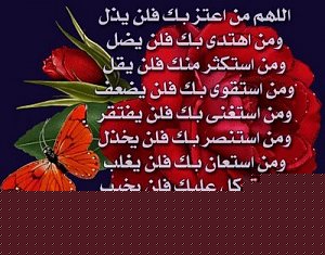 -b047de5e06.jpg