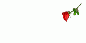 -520066802.gif