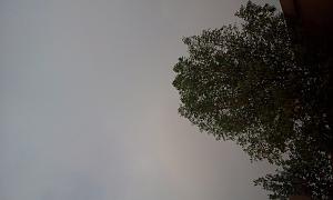 -2011-11-01-07.33.16.jpg