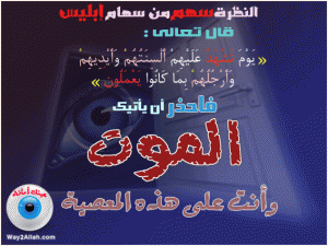 -8123.imgcache.gif