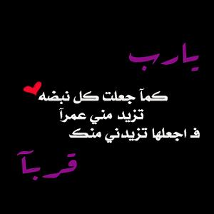 -232alsh3er.jpg