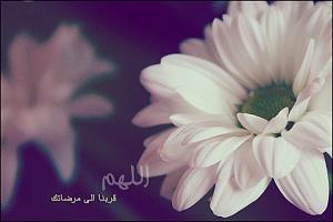 -8607ac66a81cc35e31b6a94cf121f579.jpg