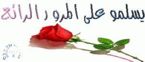 -081212192434ngmr.gif