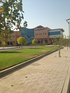 -img_1753.jpg