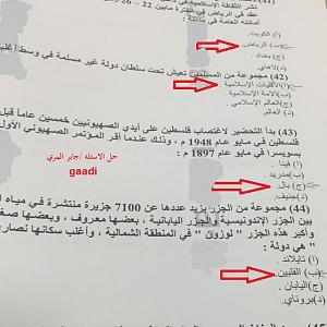 -8.jpg