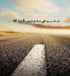 -photogrid_1443047624154.jpg