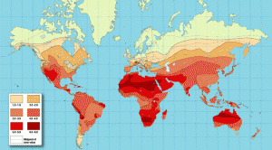-%CE%D1%ED%D8%C9-%C7%E1%C7%D4%DA%C7%DA-%C7%E1%D4%E3%D3%ED.gif