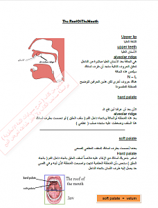 -%D3%E1%D3%E1%C9-%C7%E1%D4%D1%CD-%CF%D1%D3-1-%D5%E6%D1%C9-2.png