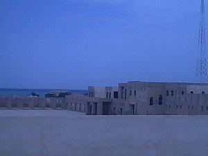 -img01980-20120404-1301.jpg
