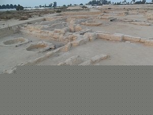 -sam_0621.jpg
