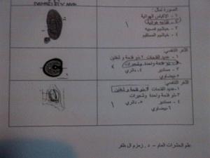 -img-20130106-wa0003.jpg