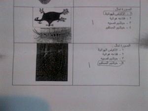 -img-20130106-wa0008.jpg