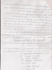 -scan0003.jpg