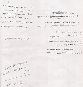 -scan0009.jpg
