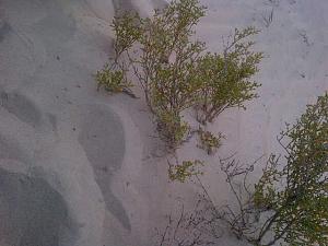 -img-20130307-01446.jpg