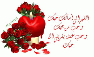 -nek81531.gif