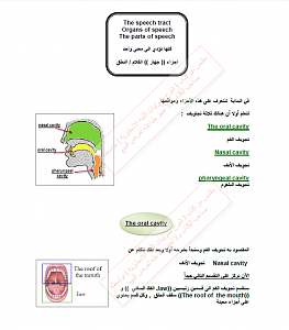 -%D3%E1%D3%E1%C9-%C7%E1%D4%D1%CD-%CF%D1%D3-1-%D5%E6%D1%C9-1.png
