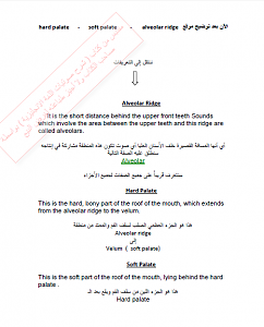 -%D3%E1%D3%E1%C9-%C7%E1%D4%D1%CD-%CF%D1%D3-1-%D5%E6%D1%C9-3.png