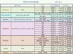 -articulation-%C7%E3%C7%DF%E4-%C7%E1%E4%D8%DE.jpg