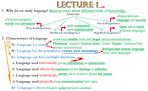 -l1.png
