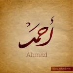   Ahmed ^^